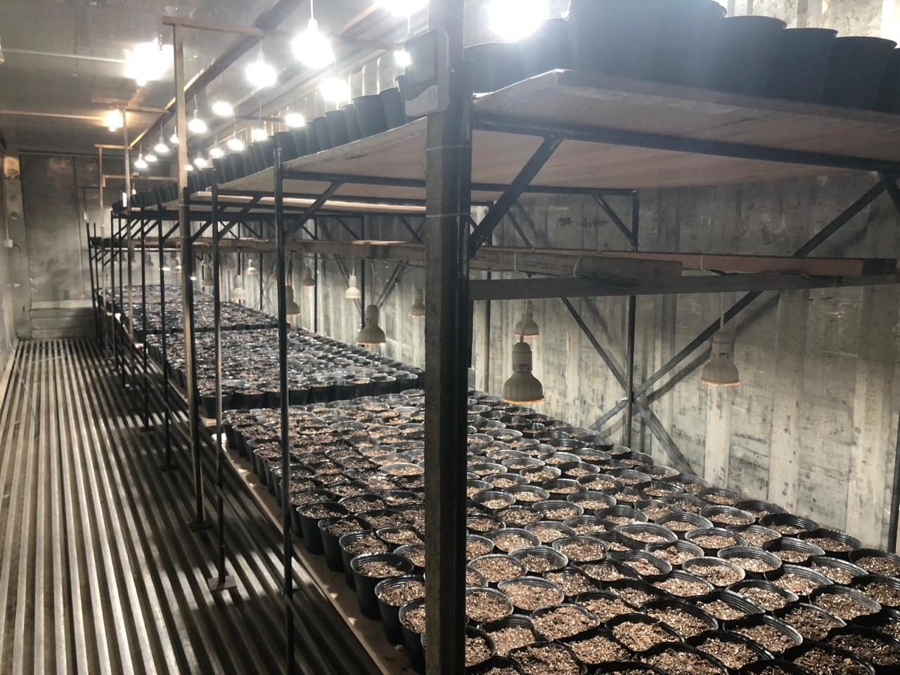 In our nursery in Carmelo — where every plant begins.