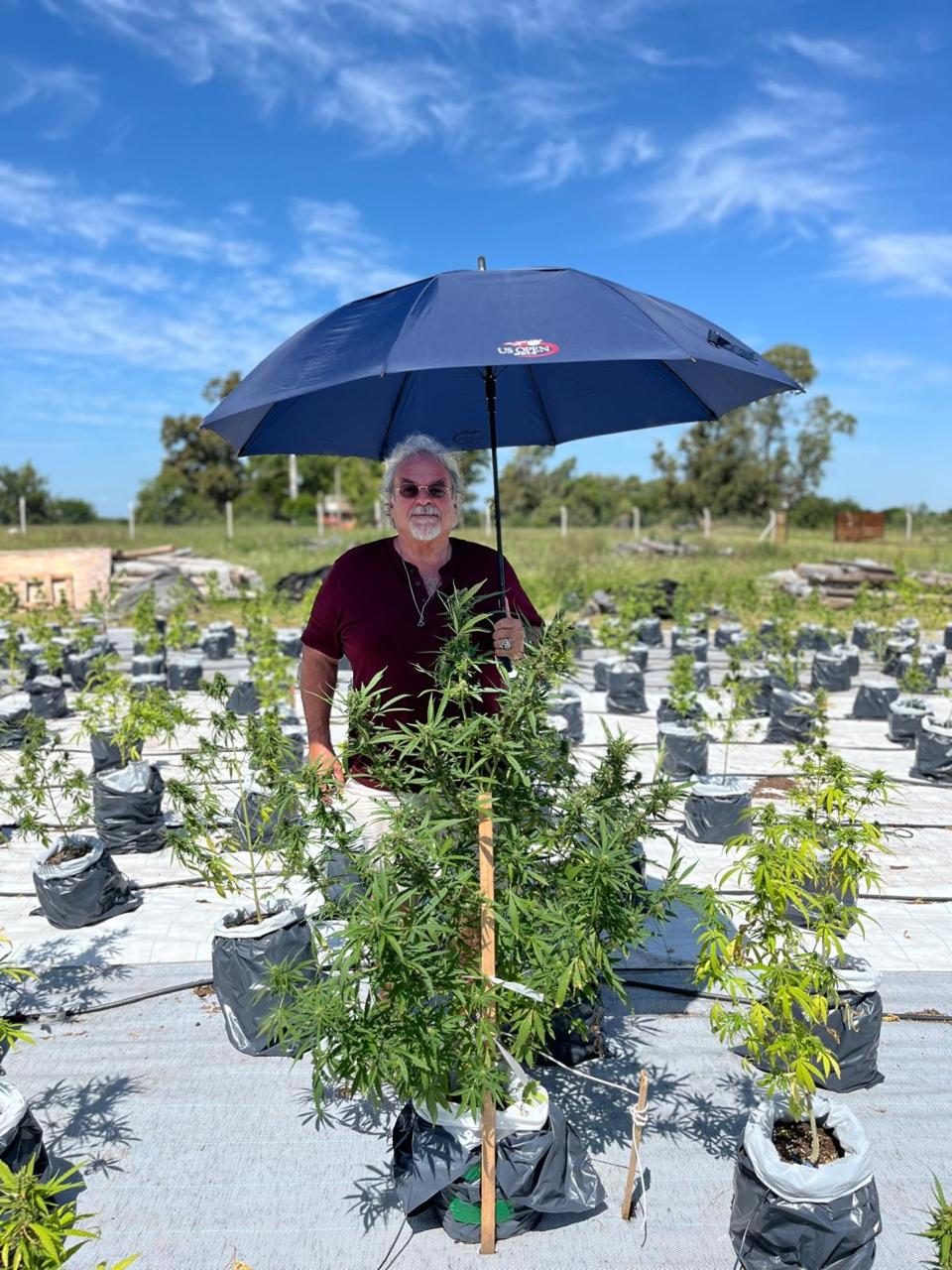 Replanting by hand, one at a time.
