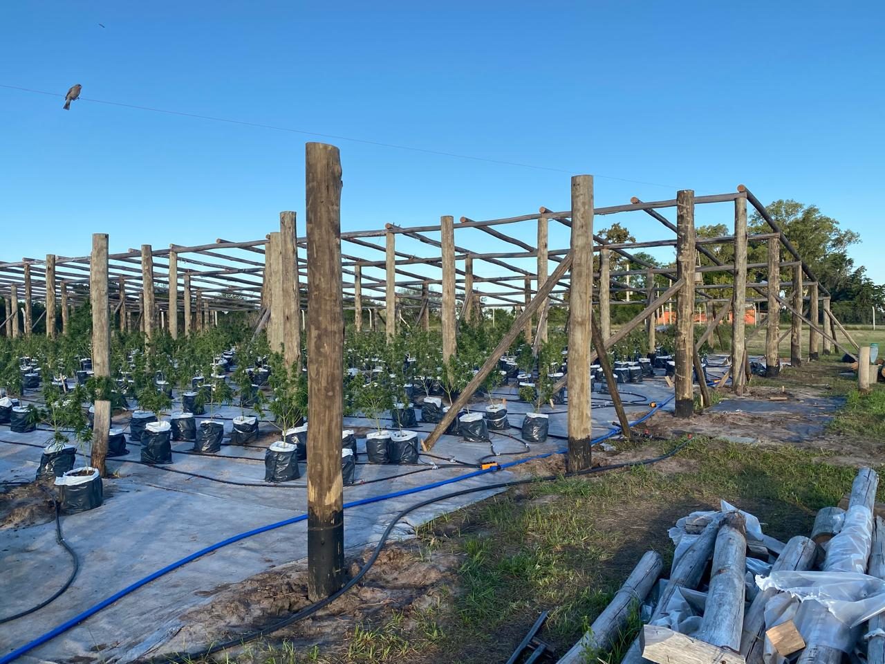 So we started again. Post by post, the structure went back up.