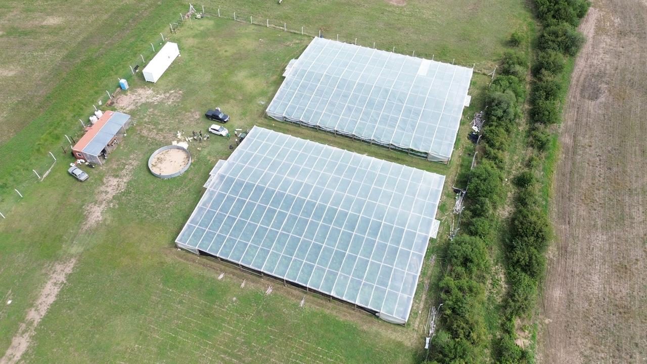 Where it all begins — our fields in Carmelo, Uruguay.